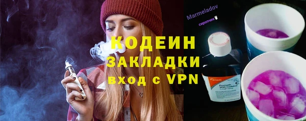 молекула духа Ижевск