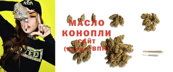 скорость Ельня