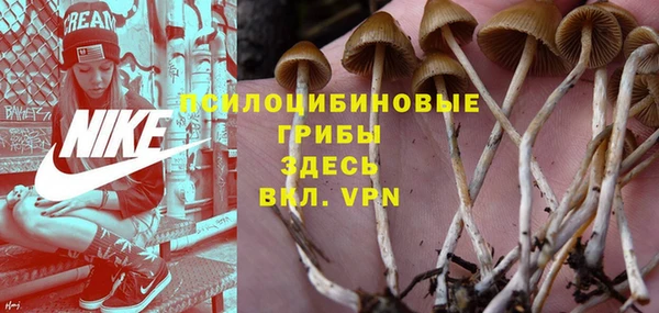 прущая мука Горнозаводск