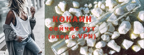 амф Горняк