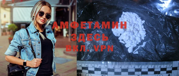 амф Горняк