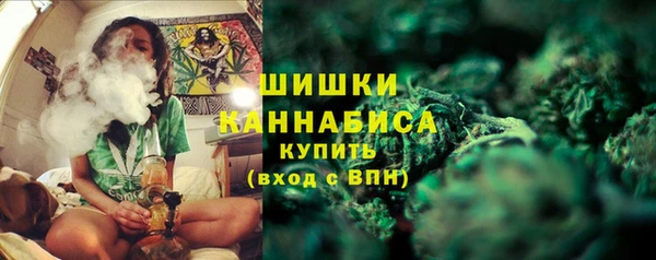 молекула духа Ижевск