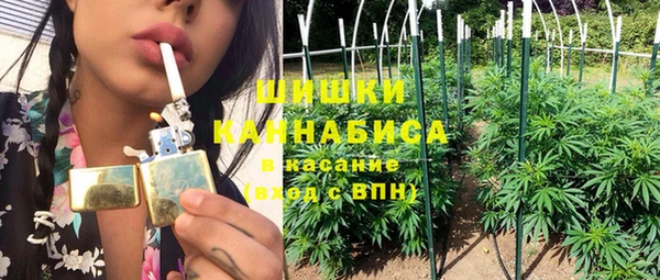 амф Горняк