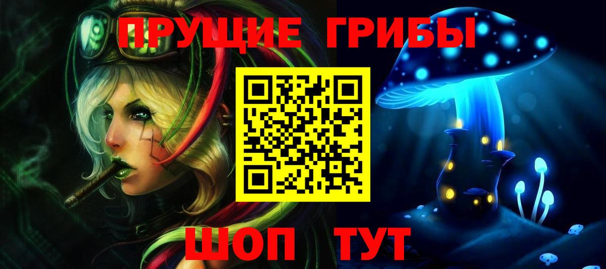 Губкинский  Галлюциногенные грибы прущие грибы  Вход с VPN  Галлюциногенные грибы мицелий 
