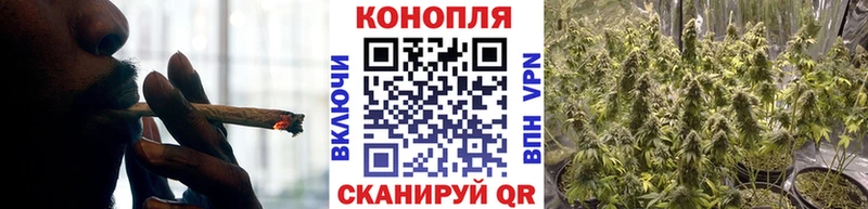 Шишки марихуана гибрид  цена наркотик  Губкинский 